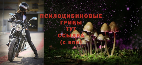 круглые Покачи